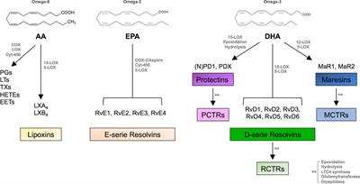 Regulation of T-Cell Immune Responses by Pro-Resolving Lipid Mediators